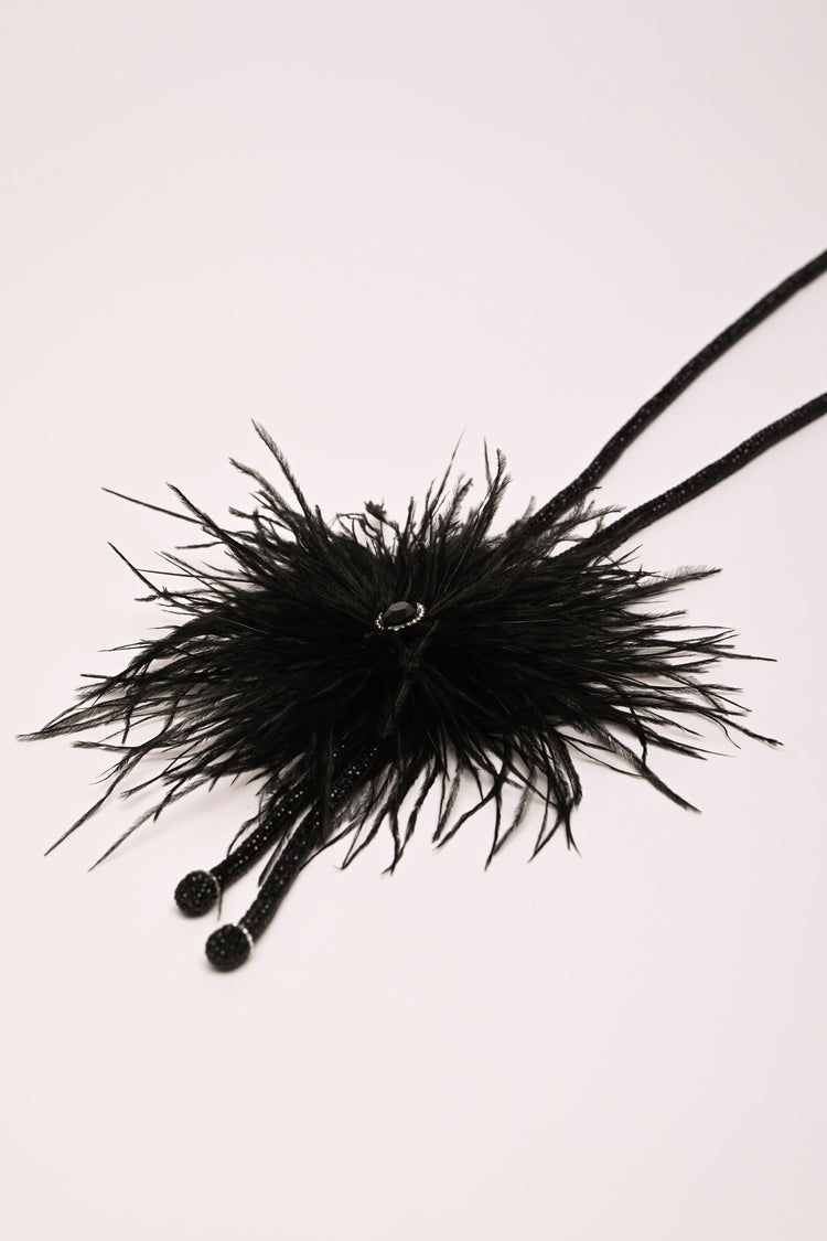 Collana lunga con piume