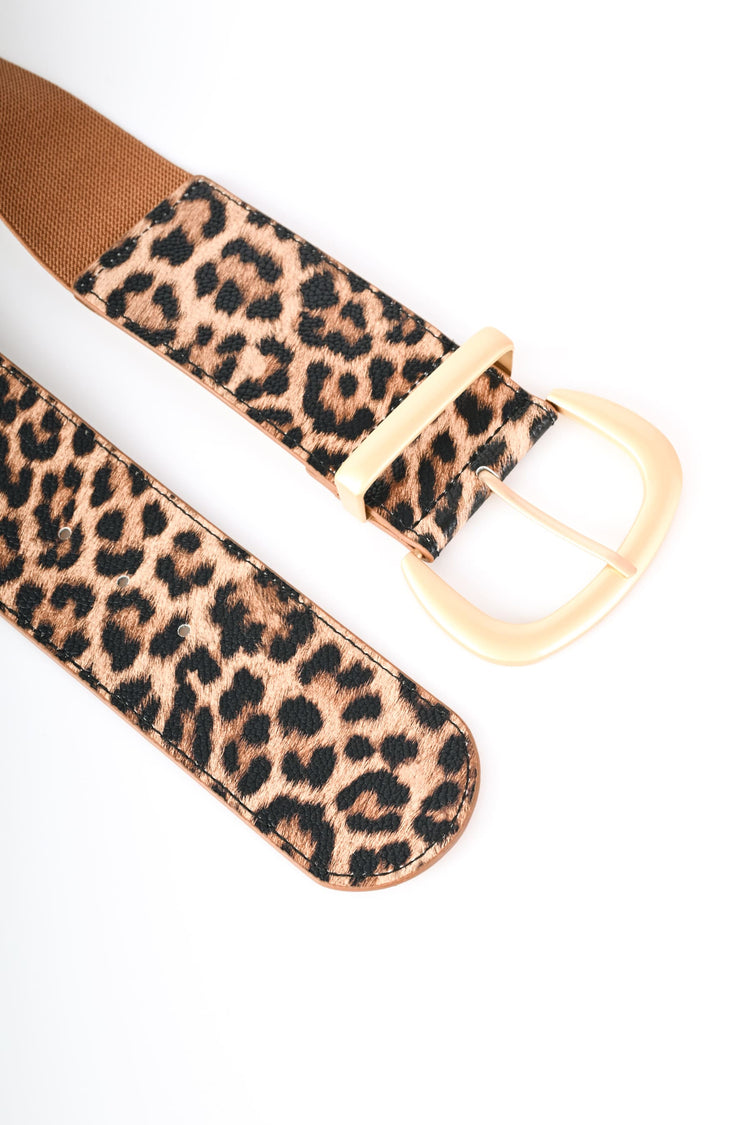 Cintura animalier elastica