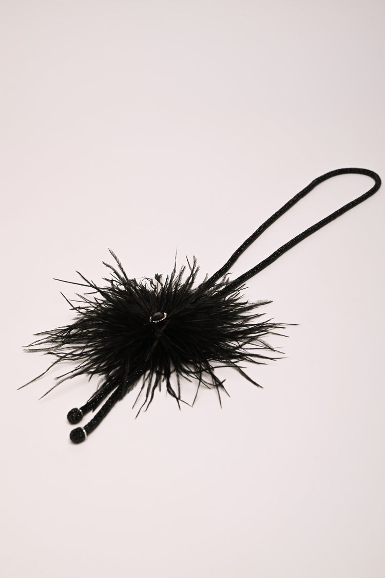 Collana lunga con piume