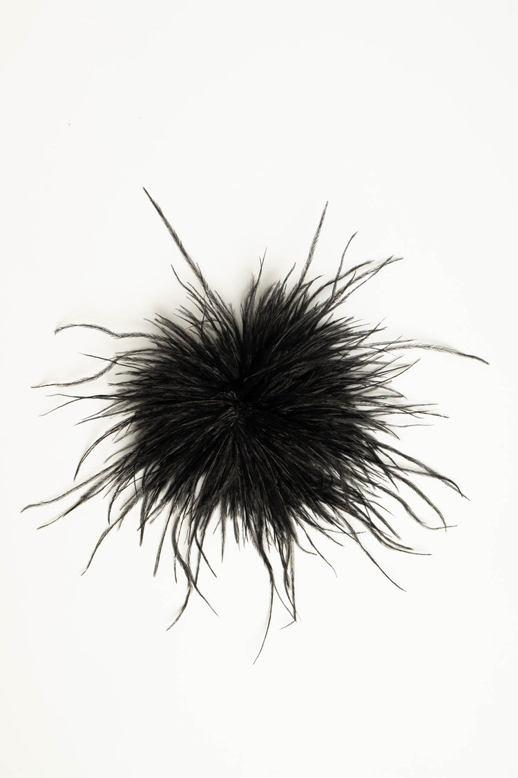 Spilla piume