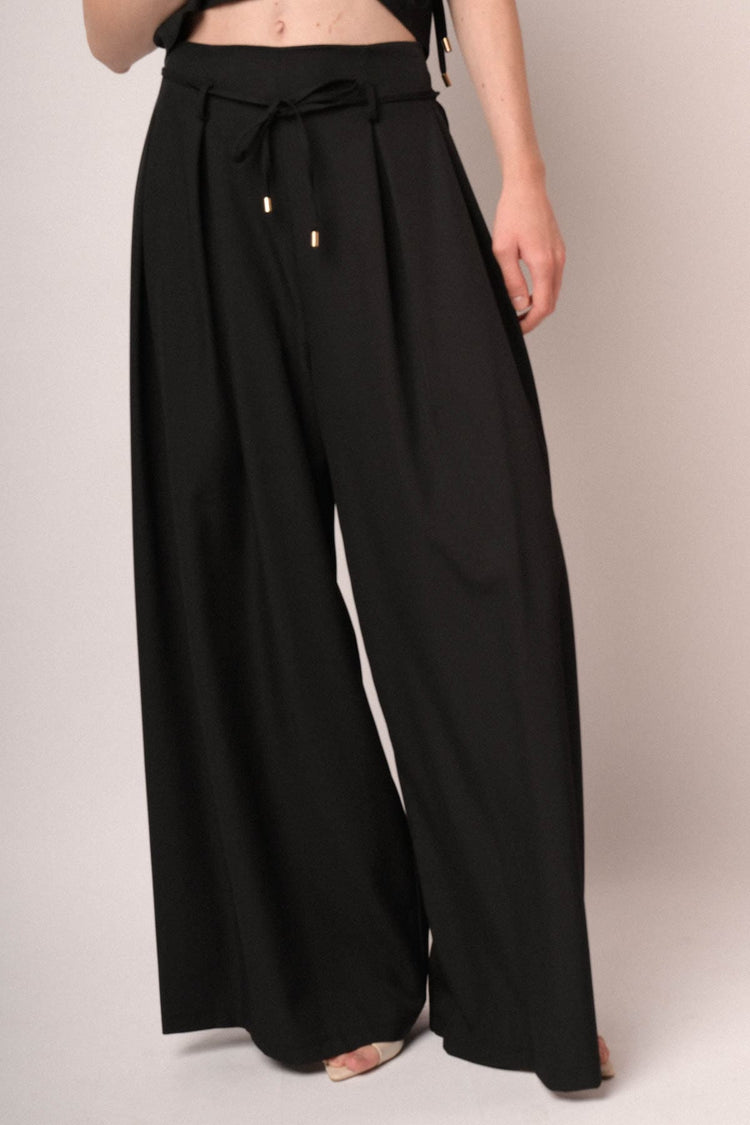 Pantaloni palazzo con pince