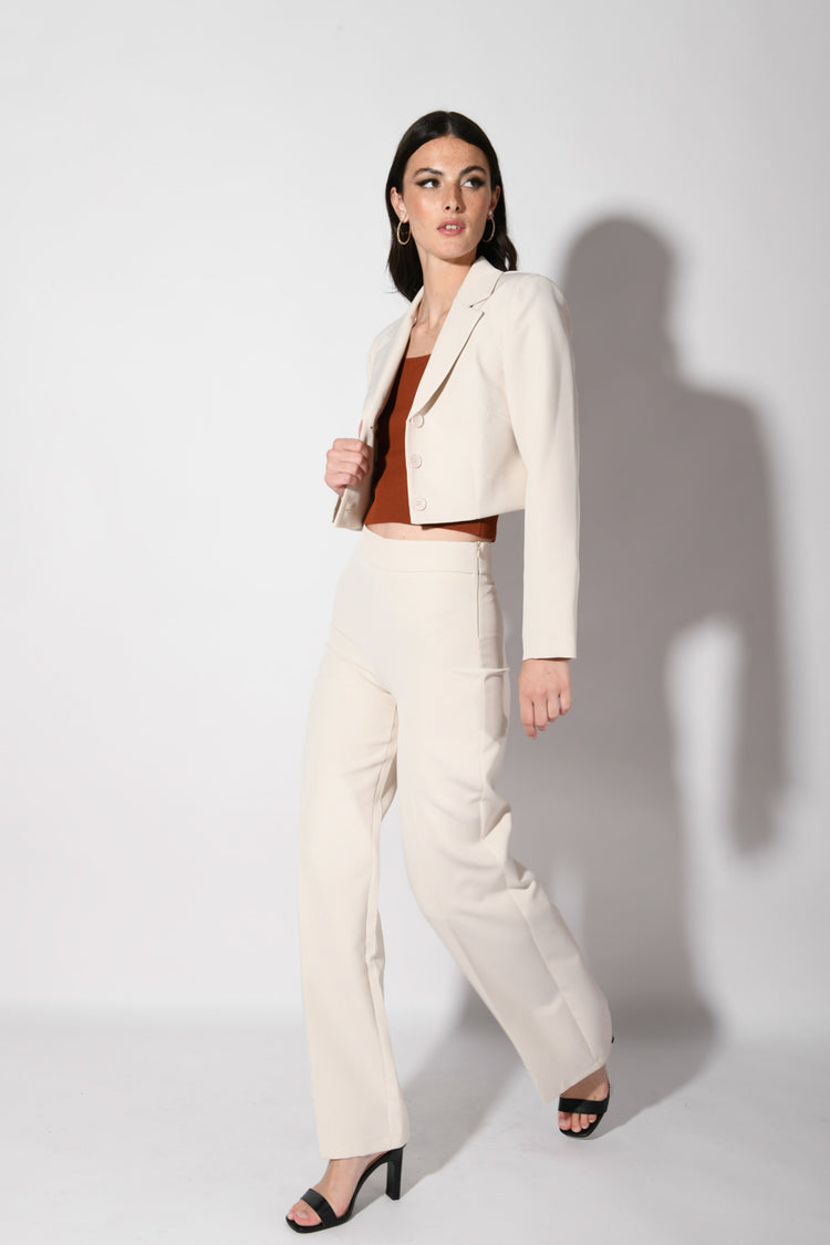 Pantaloni palazzo a vita alta